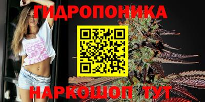 молекула духа Краснодар