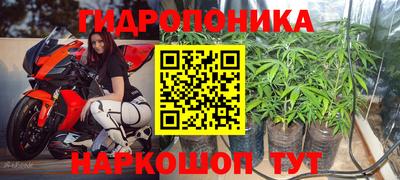 мяу мяу мука Краснокаменск
